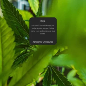 Capa_alt_Foi-mal-tava-doidao-Meta-suspende-perfis-de-cannabis-do-Instagram-sem-justificativa