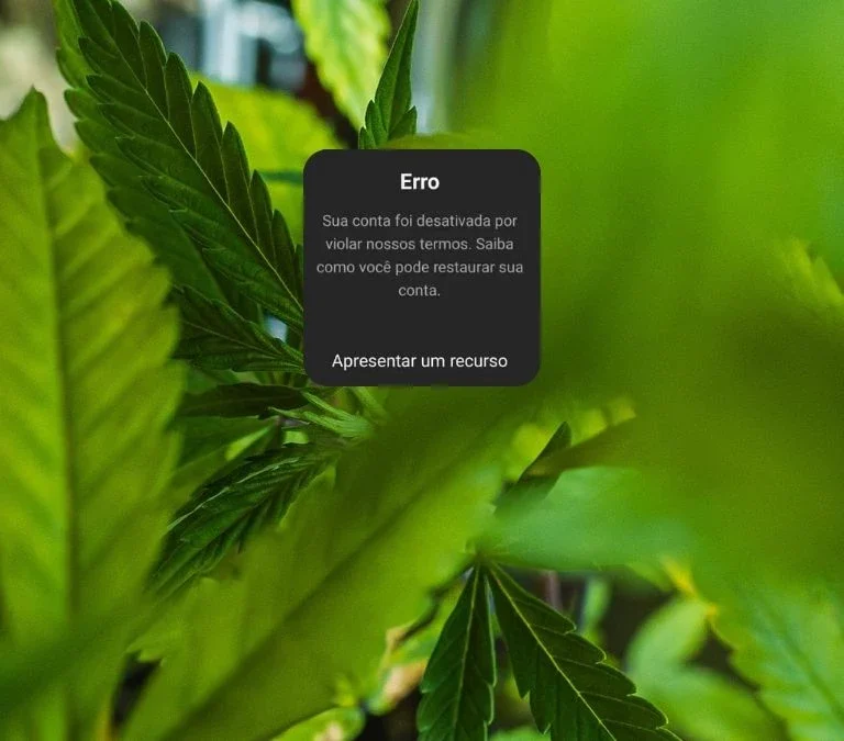 Capa_alt_Foi-mal-tava-doidao-Meta-suspende-perfis-de-cannabis-do-Instagram-sem-justificativa