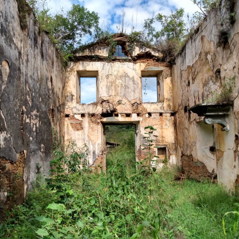 a9d3658a4b61be2677d9163e804a961a