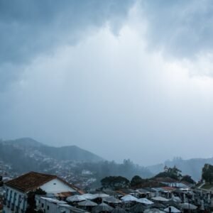 WhatsApp Image 2025-12-16 at 15.14