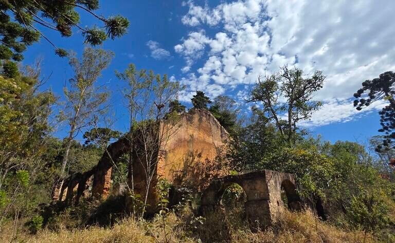 065b00c351ed7a23e72509487d8b1957