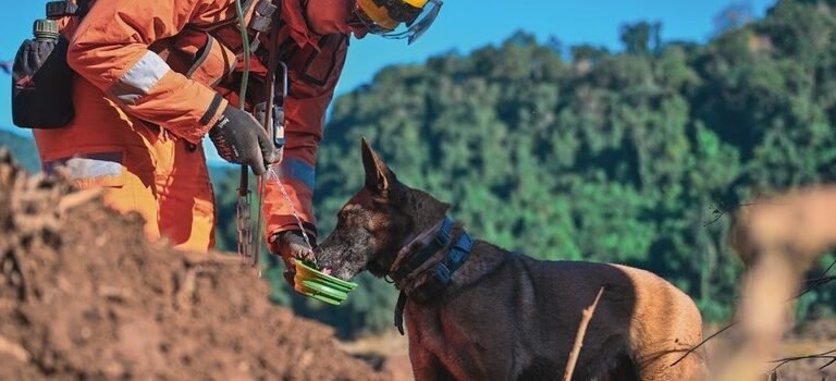 1df32292-db40-44ff-869c-353a97818617