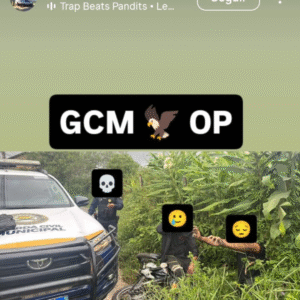 Feed certo (57)