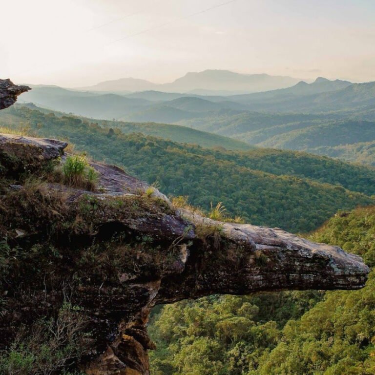 e417e6361dca2130103c83f2f6e982a6