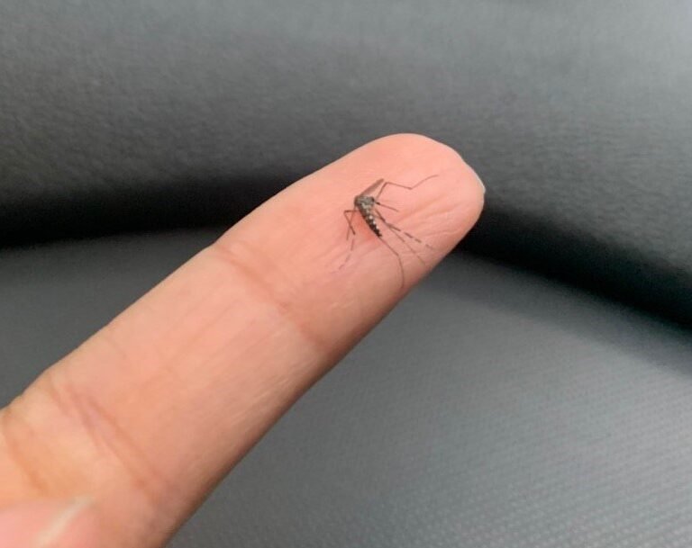 photo5120829025747576923 nova